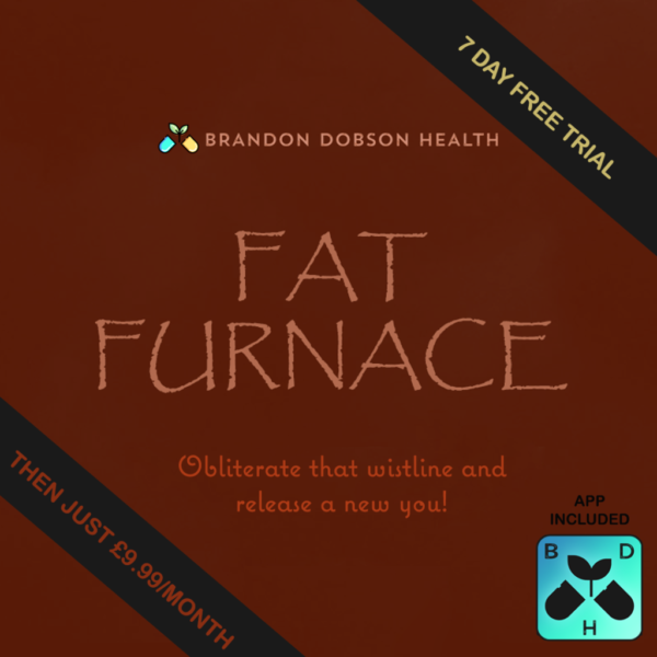 Fat Furnace